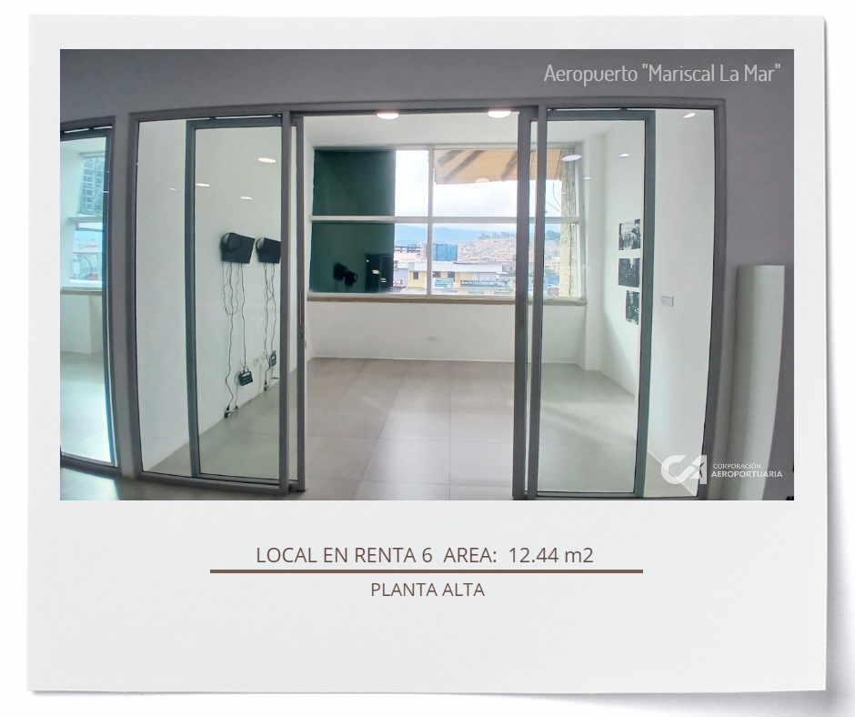 LOCAL 006