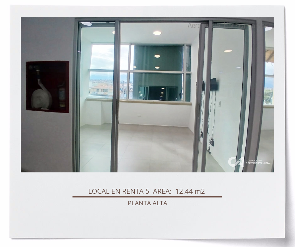 local 005